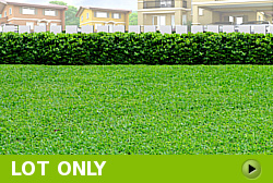 Lot for Sale in Camella Tagbilaran